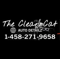 The Clean Cat Auto Detailz image 1