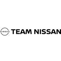 Team Nissan image 1