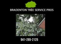 Bradenton Tree Service Pros image 3