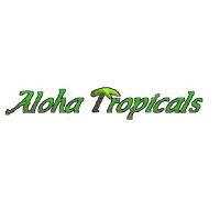 Aloha Tropicals image 1