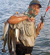 Galveston's Fishing Charters image 6
