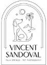 Vincent Sandoval Photography logo