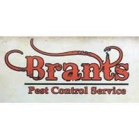 Brants Pest Control Service image 1