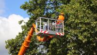 Funky Town Tree Service image 5