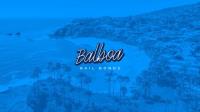 Balboa Bail Bonds Vista image 2