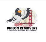 Pigeon Removers image 3
