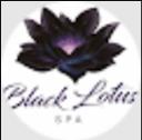 Black Lotus Spa logo