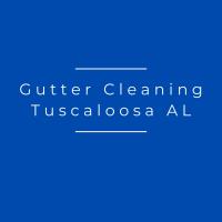 Gutter Cleaning of Tuscaloosa AL image 1