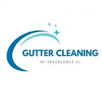Gutter Cleaning of Tuscaloosa AL image 2