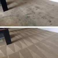 Safe-Dry® Carpet Cleaning Of Knoxville image 2