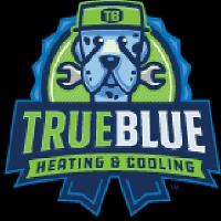 True Blue Heating and Cooling image 1