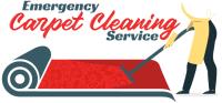 Emergency Carpet Cleaning Service in US image 1