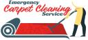 Emergency Carpet Cleaning Service in US logo