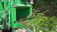 Green Hill Tree Service image 1