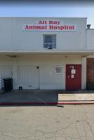 All Bay Animal Hospital image 2
