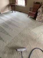 The Carpet Sanitizers image 2
