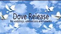 Laramie Lofts Dove Releases image 1