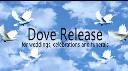 Laramie Lofts Dove Releases logo