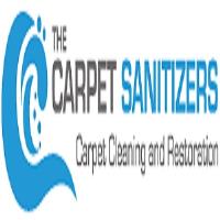 The Carpet Sanitizers image 1