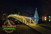 Delmarva Christmas Lights image 6