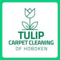 Tulip Carpet Cleaning of Hoboken image 5