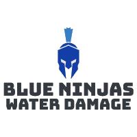 Blue Ninjas Water Damage Restoration Atlanta image 3