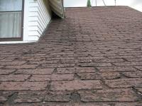 Raw Roofing Solutions image 3