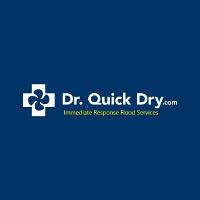 Dr. Quick Dry image 1