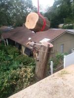 McCullough Tree Service image 7