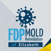 FDP Mold Remediation of Elizabeth image 1
