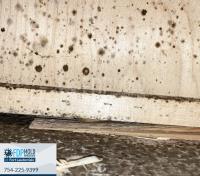 FDP Mold Remediation of Fort Lauderdale image 3