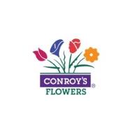 Conroy's Flowers image 1