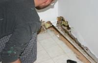 Sea Island Mold Removal Experts image 1