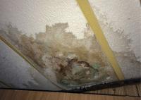 Water Damage Experts of Dirt City image 7