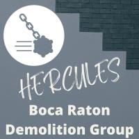 Hercules Boca Raton Demolition image 7