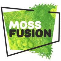 MossFusion image 9