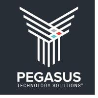 Pegasus Technology Solutions image 1