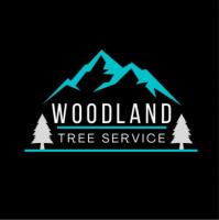 Woodland Tree Service image 7