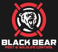 Black Bear Pest and Wildlife Control image 1