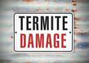 South Kitsap Termite Removal Experts logo