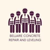 Bellaire Concrete Repair and Leveling image 1