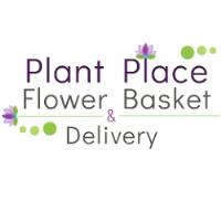 Plant Place Flower Basket & Delivery image 4