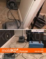 Mold KO of Montclair image 1