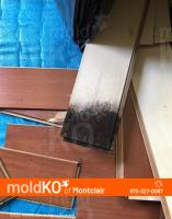 Mold KO of Montclair image 4