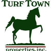 Turf Town Properties Inc image 1