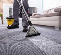 5 Star Carpet Cleaning image 2