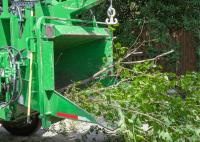 Cochichawicke Tree Service image 4