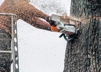 Cochichawicke Tree Service image 2