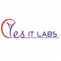 YES IT Labs LLC image 1