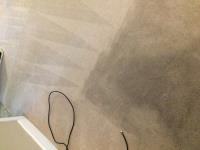 A ACTION STEAMER CARPET CLEANING image 2